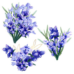 Obraz premium watercolor-lavender-bouquets