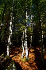 Ordesa National Park