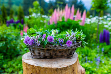 Fresh and aromatic herbs in a basket.