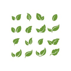 nature organic leaf vector logo design