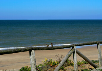 Doñana National Park beach seen from the cliff towards the beach