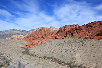 Fototapeta na wymiar Red rock canyon in Nevada,USA
