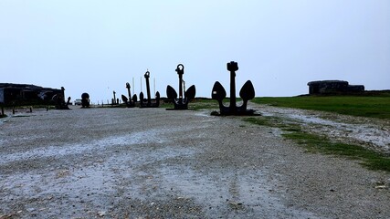 people walking in the park