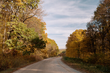 Path in the nature. Vivid morning in colorful autumn forest with sun rays through branches of trees. Scenery of nature with sunlight