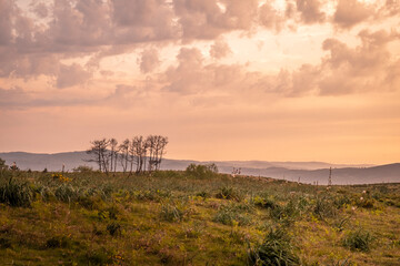 Árvores na serra ao pôr do sol