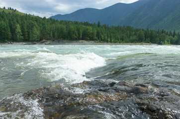 Stormy river Katun. Rapid, whirlpool. Altai.