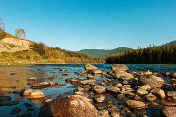 Rocky shore of the Katun river at sunset. Altai. Siberia.