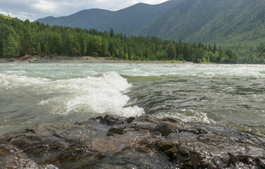 Stormy river Katun. Rapid, whirlpool. Altai Siberia.