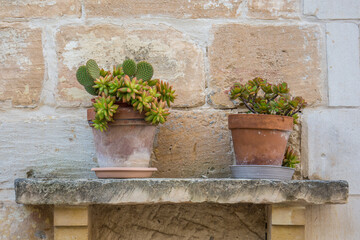 Fototapeta na wymiar Flower pots on a stone shelf 