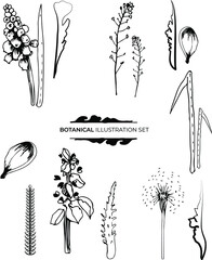 vector set of beautiful plants 
