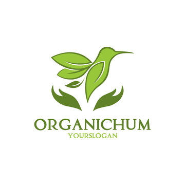 Organic colibry bird logo template