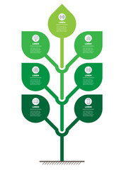 Vertical infographics or timeline with 7 options. Tree with leafs. Development and growth of the eco business or green technology. Business concept with seven steps or processes.
