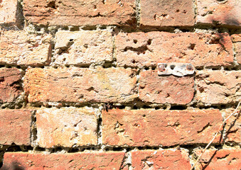 Obraz premium A close up image of brickwork damaged by the Mason or Mortar Bee. Bore holes have been dug in every available place and even into the bricks themselves. A good example of the damage that can be done.