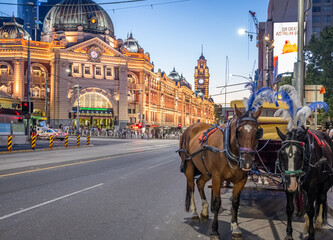 Naklejka na ściany i meble Horses and Carriage in Melbourne CBD
