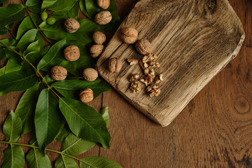 Green leaves and walnuts on a wooden dark background. The concept of a healthy diet and vegetarianism