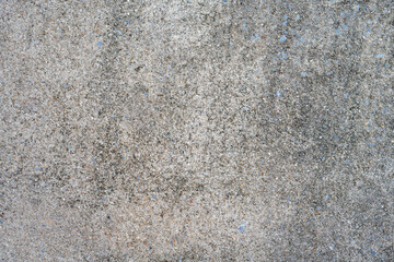 the background gray of old asphalt, a concrete wall or floor