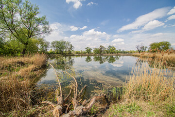 A view over lake in Poland - beautiful landscape with blue sky and chilly clouds