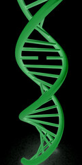 DNA structure model. 3d illustration. On a black background.