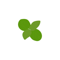 Isolated green leaf on a white background