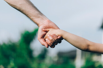 Father's hand lead his child in summer nature outdoor, trust family concept. Fathers day concept.