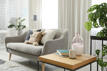 Modern living room interior with comfortable sofa