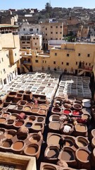 traditional moroccan tannery