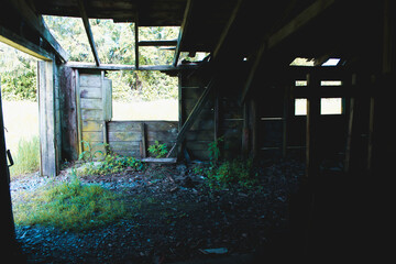 old house in the woods
