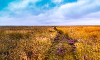 Wanderweg auf einer Insel