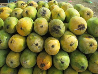 Group mangoes kept well stocked