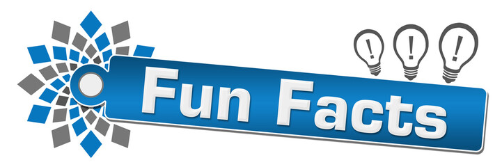 Fun Facts Blue Grey Circular Label Bulbs 