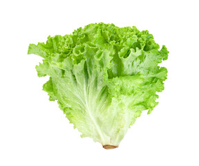 Lettuce leaf isolated on white background ,Green leaves pattern ,Salad ingredient