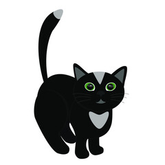 Black cat. Isolated vector image on a white background. Clipart.