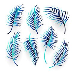 Abstract tropical leaves set on white background. Vector illustration