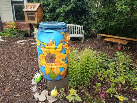 painted rain barrel and garden