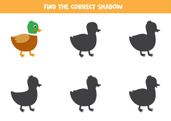 Find the correct shadow of cute cartoon duck.
