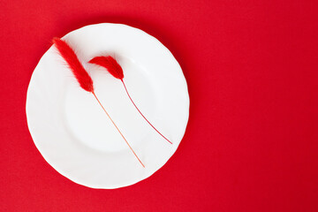 red dried natural flower bouquets  Lagurus ovatus and white round plate on the red background