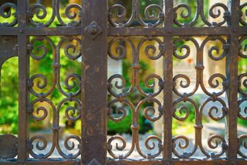 Iron forged fence, green plants