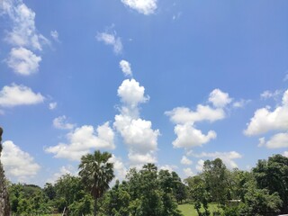 Obraz premium The vast blue sky and cloud sky and the greenery below