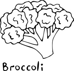 Vector illustration of a broccoli in the Doodle style, hand-drawn black outline on a white background with the text 