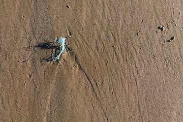 A rest of a fisher net becomes micro plastic on beach.