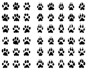 Fototapeta na wymiar Black print of dogs and cats paws on white background