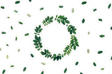 Beautiful wreath of fresh branches, a beautiful frame of branches in a circle