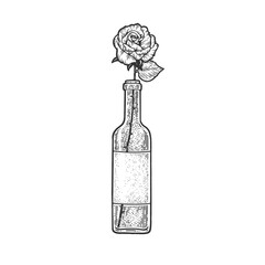 rose flower in a bottle of wine sketch engraving vector illustration. T-shirt apparel print design. Scratch board imitation. Black and white hand drawn image.