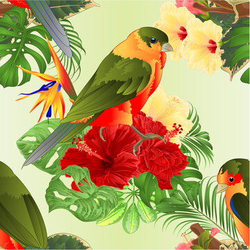 Seamless texture tropical birds   bouquet with tropical flowers hibiscus Strelitzia reginae  palm,philodendron on green  background watercolor vintage vector illustration editable hand draw