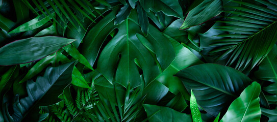 Fototapeta na wymiar closeup nature view of tropical green monstera leaf and palms background. Flat lay, fresh wallpaper banner concept