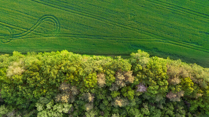 aerial landscape at sunrise. natural summer background. drone shot