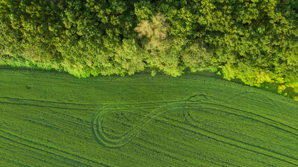 aerial landscape at sunrise. natural summer background. drone shot