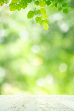 Fresh green leaves nature with bokeh on empty wooden table background for product display template and copy space using as background natural greenery