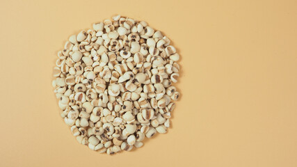 Job's Tears, also known as adlay and coix on white background. Popular in Asian cultures as a food source.