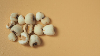 Job's Tears, also known as adlay and coix on white background. Popular in Asian cultures as a food source.